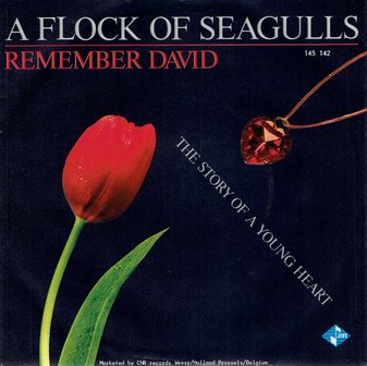 A Flock Of Seagulls - Remember David