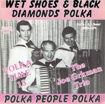 The Joe Grkman Trio - Wet shoes & black diamonds polka