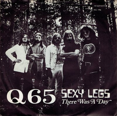 Q65 - Sexy legs