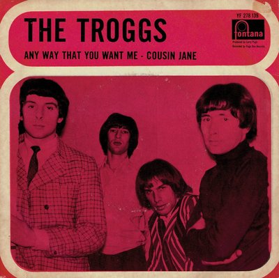 The Troggs - Any way that you want me