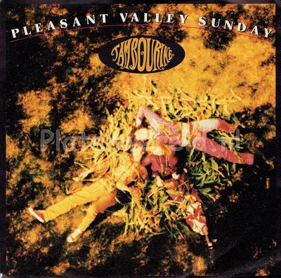 Tambourine - Pleasant valley sunday