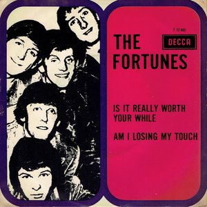 The Fortunes - Is it really worth your while